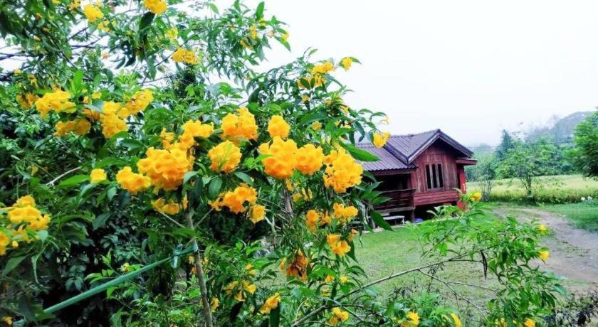 Nai Khun Khao Resort Chiang Mai Luaran gambar